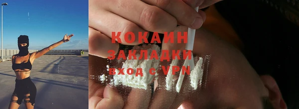 соль ск Алзамай