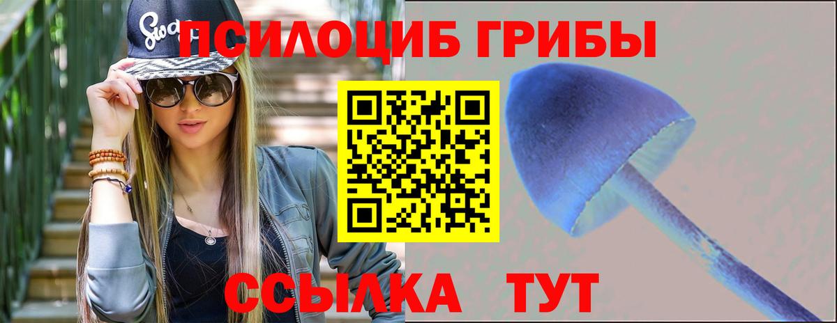 Псилоцибиновые грибы Psilocybe  Асбест 